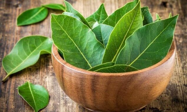 Bay leaves are used in the preparation of a decoction to relieve swelling in arthritis of the knee
